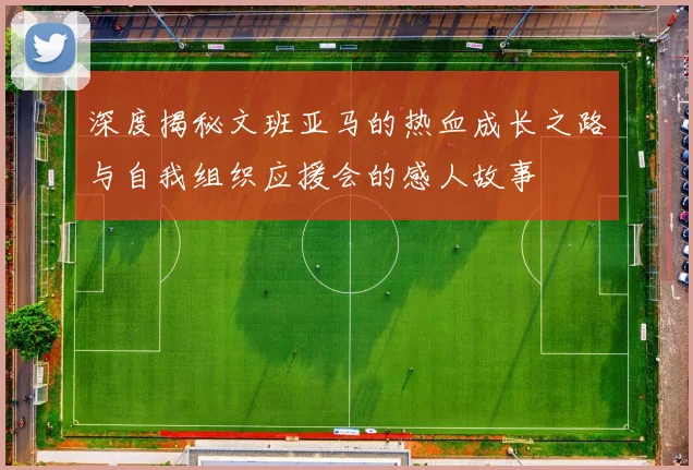 深度揭秘文班亚马的热血成长之路与自我组织应援会的感人故事